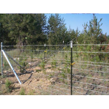 Hinge Joint Goat Fence (XM-FF)